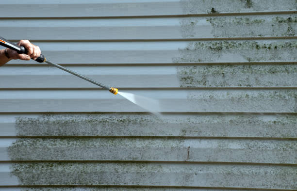 Best Attic Mold Removal  in Harwich Port, MA