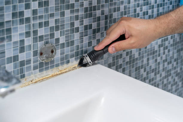 Best Mold Cleaning Services  in Harwich Port, MA